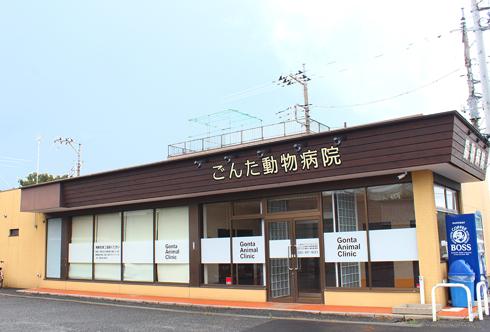 ごんた動物病院